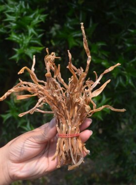 金寨笋干干货级嫩笋尖野生干笋片小水竹笋干安徽无盐大别山春笋丝