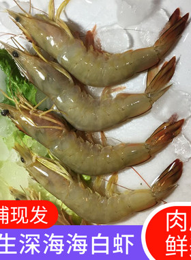 广东3斤包邮野生深海大白虾阳江海鲜特产大虾白500克白虾大虾
