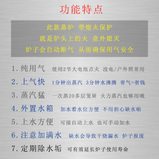 定制新派天宝燃气无风机蒸包炉商用三眼3孔小笼包馒头锅炉双孔四