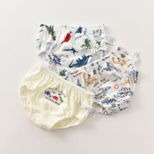 出口童装源头工厂楼梯汗布吸汗透气不夹pp四季男孩儿童三角裤内裤