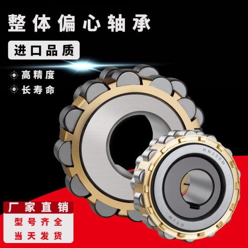 偏心轴承RN307整体进口品质RN205摇摆减速机专用偏心轴承套309轮