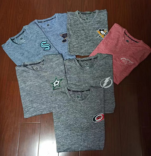 冰球男运动休闲速干功能轻薄圆领队标印花短袖 外贸余货美式 T恤