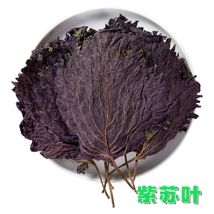 紫苏叶片 （运输途中易碎，介意勿拍）