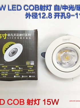 FFTH-3.5-15W非凡系列COB天花射灯LED嵌入式开孔9-11cm外径13厘米