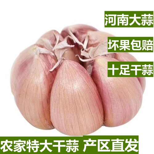 【十足干】2025新农家干大蒜头河南杞县紫白皮可自制腊八蒜绿蒜