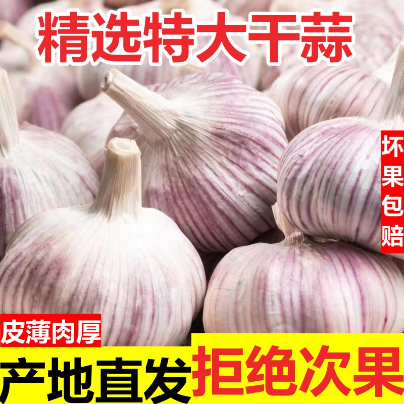 干蒜5斤大蒜头9斤农家自种产地直发大蒜头紫白皮大蒜蔬菜河南大蒜,水产肉类/新鲜蔬果/熟食,大蒜,淘宝优惠券,粉丝福利购,淘宝优惠卷