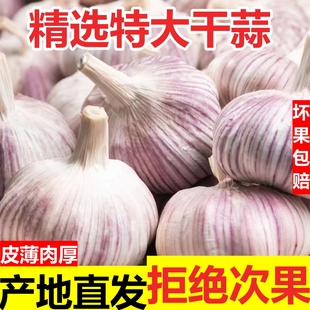 干蒜5斤大蒜头9斤农家自种产地直发大蒜头紫白皮大蒜蔬菜河南大蒜