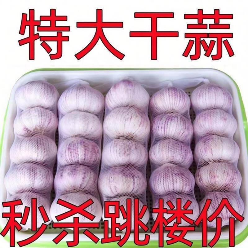 今年新干大蒜头农家自种河南杞县2026年大蒜十足干蒜紫白皮蒜头