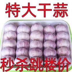 今年新干大蒜头农家自种河南杞县2026年大蒜十足干蒜紫白皮蒜头