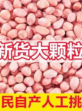 25年新鲜花生米精选特大颗粒生新货粉皮新鲜大粒花生不带壳农家自