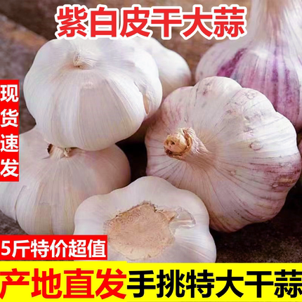 2026大蒜头干蒜5斤农家干蒜头自种干蒜9斤河南杞县大蒜白紫皮大蒜