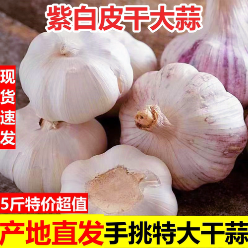 河南杞县大蒜白紫皮大蒜农家自种