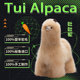 阿祈羊驼网红无敌美秘鲁毛绒生日礼物手工摆件 TUI ALPACA 吐吐驼