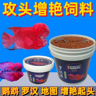 罗汉鱼攻头饲料起头增色泰国马骝金花罗汉鱼爆头专用鱼粮增红鱼食