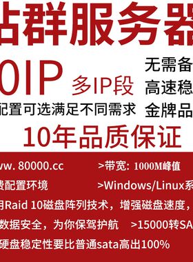 站群服务器租用云主机云服务器美国CN2多ip段游戏搭建253ip