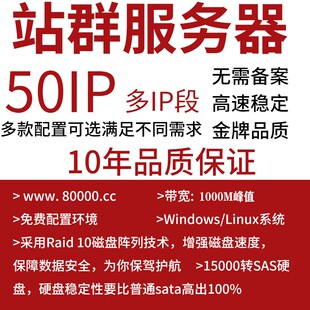 站群服务器租用云主机云服务器美国CN2多ip段游戏搭建253ip