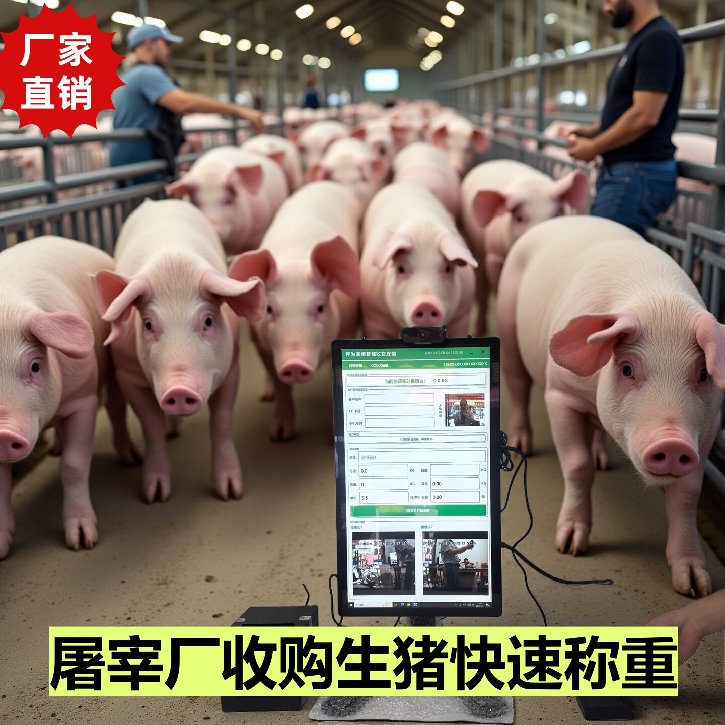 养殖场生猪收购自助过磅一体机 称重记账统计免手写 快捷全自动化