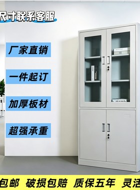 定制款收纳柜大器械宽60/70/80/90/cm办公铁皮柜家用带锁储物柜子