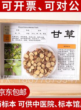 中医标本标本展示材标本装饰画中草药标本相框中医文化墙