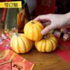 Товары от 一卫兰