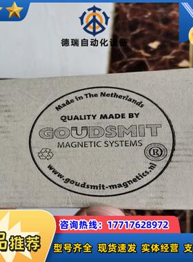 GOUDSMIT TPGC040078德国原装电磁铁HG议价