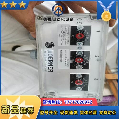 德国WOERNER威纳温度传感器型号FD08W23AB议价