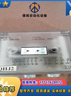 RXMVB 2 -110V控制电压 RK 251 206-A议价