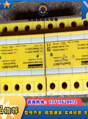 德国LEUTRON防雷器EnerPro284Tr浪涌保护4P议价