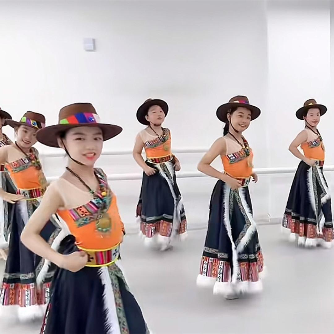 抖音旎旎老师溜溜的康定同款藏族舞蹈半身裙民族风演出服练功习裙