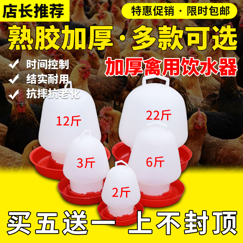 小鸡水桶水槽水槽饮水壶