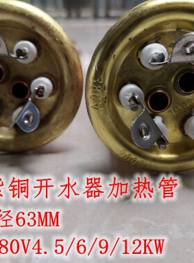 63/64/65mm接线紫铜开水器意达