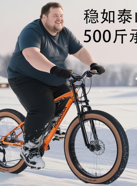 【官方推荐】复古雪地大轮自行车