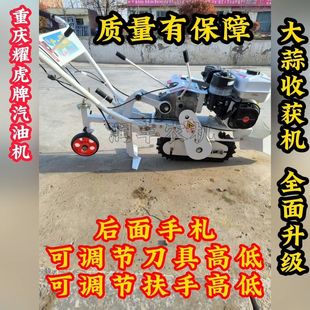 橡膠履帶全新大蒜收獲機(jī)鋤蒜犁蒜加高后置手推懸浮小型農(nóng)用汽油