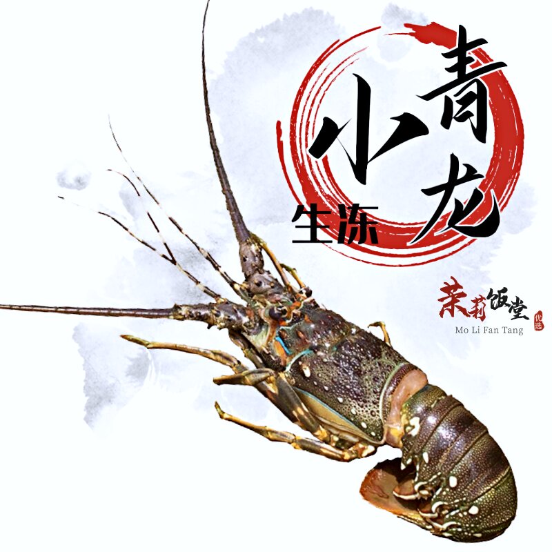 小青龙冷冻鲜活鲜冻非活虾龙虾一斤澳洲中华锦绣龙青龙仔野生海捕