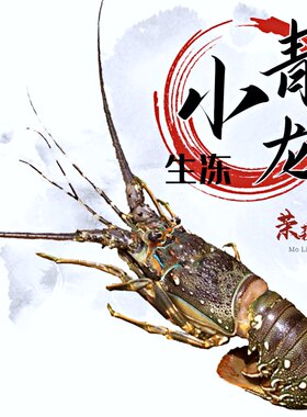 小青龙冷冻新鲜饱满野生