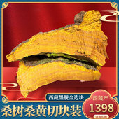 盒金边干货 西藏林芝墨脱野生桑树桑黄切块500克 切块装