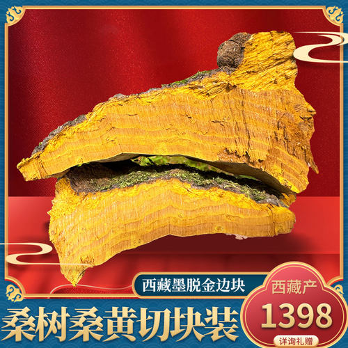 颂御堂西藏野生桑黄切块桑黄