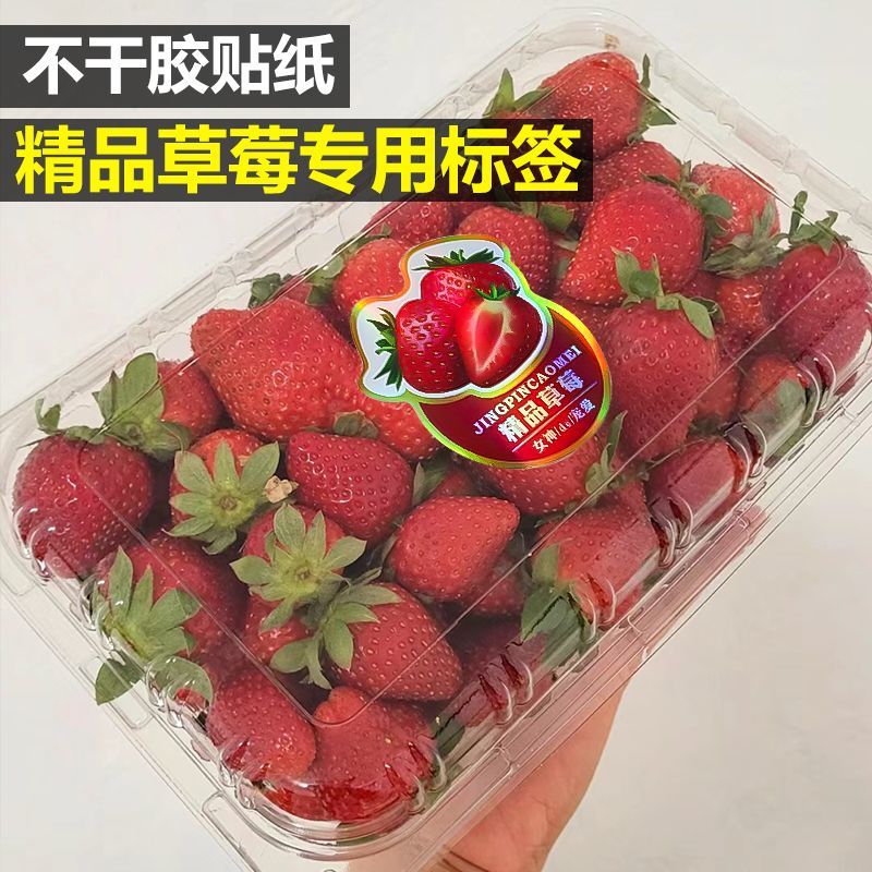 草莓精品水果通用贴纸高档果标标贴打包盒一次性果切果盒不干胶