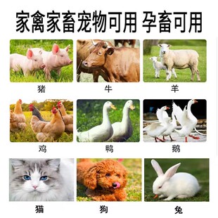 大黄苏打片兽用小苏打酵母粉猪牛羊鸡鸭鹅犬猫兔孕畜可以饲料原料