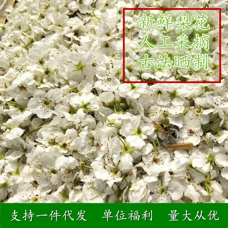 干梨花茶养生花茶组合梨花冰糖茶干梨花蕾花草果茶罐装送人礼盒装