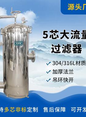 大通量精密过滤器污水处理器不锈钢304过滤器大流量芯式过滤器