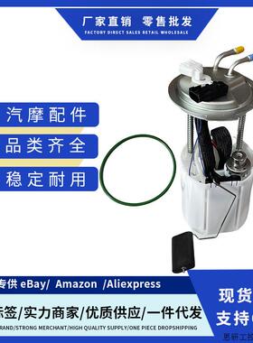 13512935, SP6753M 13513343, 13513344, 13535373燃油泵总.议价