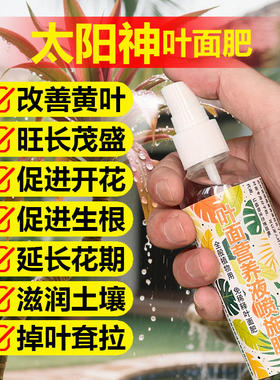 太阳神专用肥料盆栽绿植密叶朱焦土营养液叶面肥叶面肥水溶化肥料