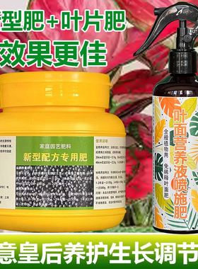 如意皇后专用肥料盆栽吉利红营养液增色变红开花长新叶长叶发新芽