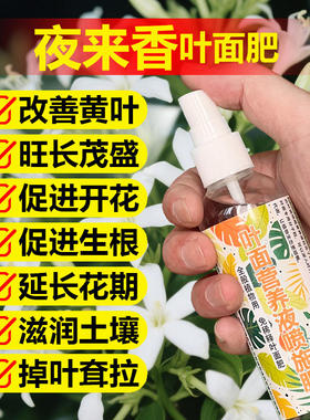 夜来香专用肥料花苗树苗营养液爆花茂盛旺长生根促发新芽叶面肥料