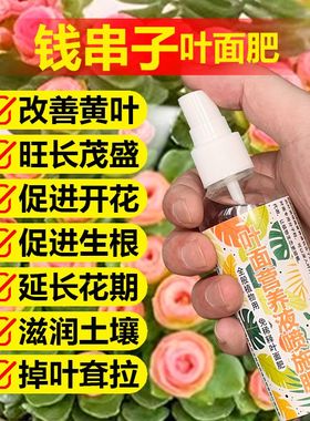 钱串子专用肥料钱多多肉植物钱串锦前程似锦土壤营养液水溶肥肥料