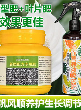 一帆风顺专用肥料盆栽发黄下垂软蔫发黑尖焦枯萎耷拉卷皱叶面肥料