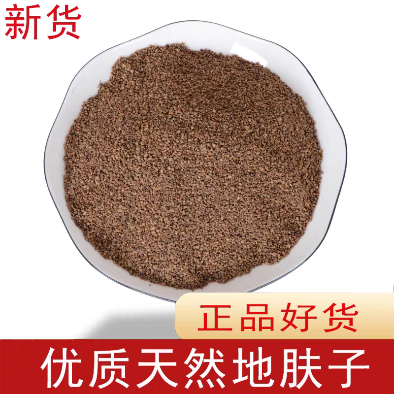 地肤子中药材地肤籽 可磨地肤子粉地夫子正品泡茶无硫新货