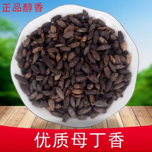 正品母丁香中药材香料调料新货鸡舌香雌丁香另有公丁香满30元包邮