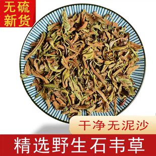 石韦中药材石韦250g克 石苇小叶石韦茶 石伟 野生石韦草药无硫
